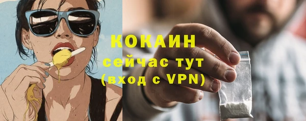 мяу мяу мука Аркадак