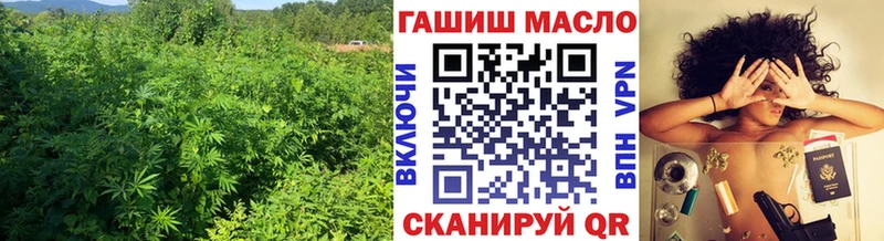 МЕГА сайт  Кирово-Чепецк  ТГК концентрат 