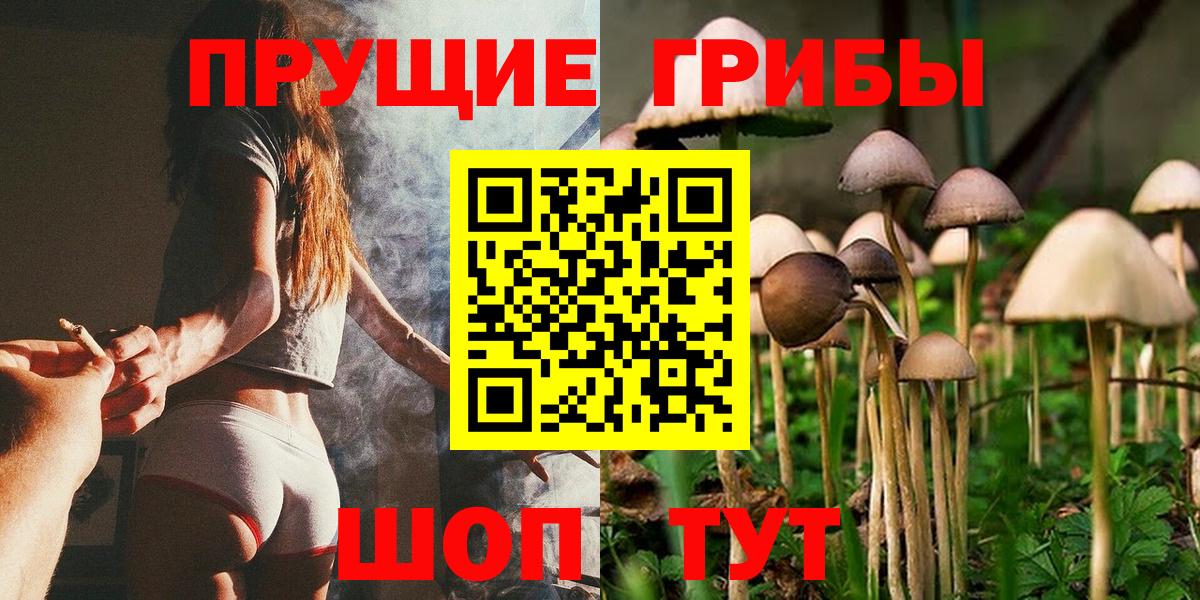 Псилоцибиновые грибы ЛСД  Вход с VPN  Псилоцибиновые грибы мицелий  Кирово-Чепецк 
