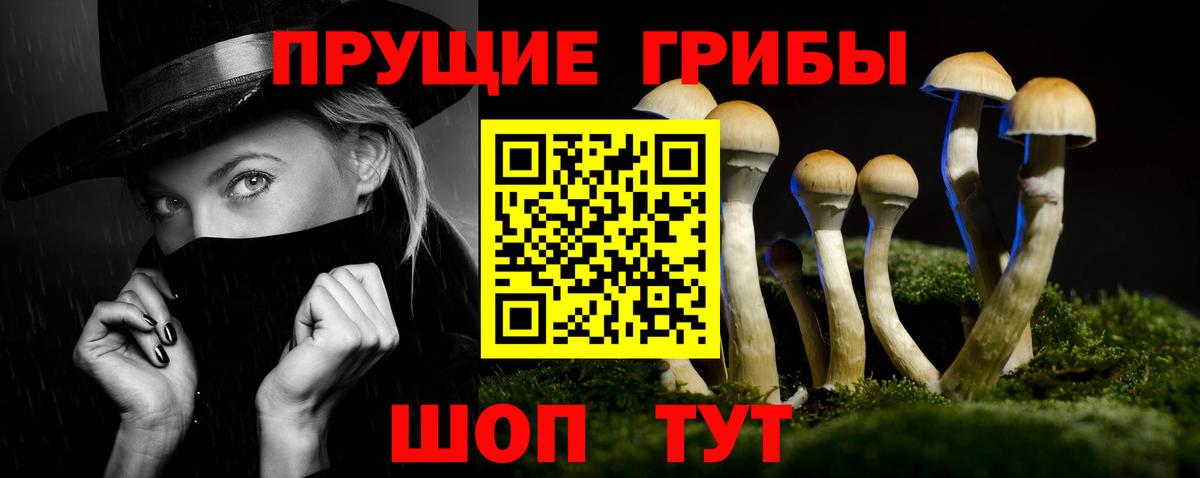 Псилоцибиновые грибы мицелий Кирово-Чепецк